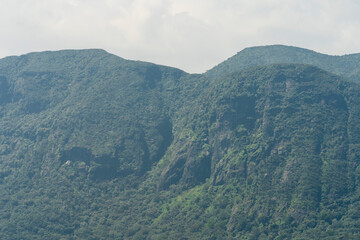 Fototapeta premium la montagne de Nuwara Elia au Srilanka