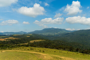  la montagne de Nuwara Elia au Srilanka