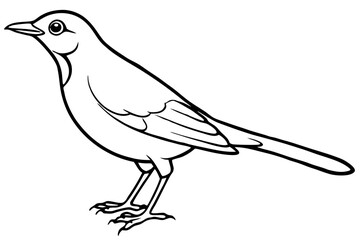 Obraz premium thrush line art silhouette vector illustration