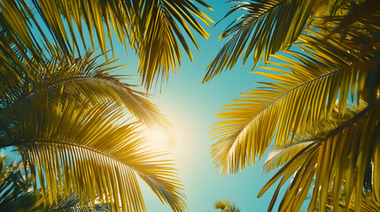 Fototapeta premium Tropical Paradise: Sunlit Palm Fronds Against a Vibrant Blue Sky