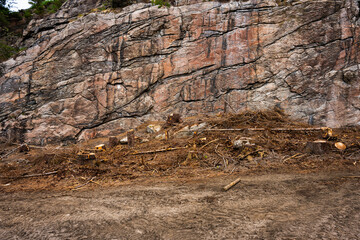 Fototapety na wymiar - Fototapeta24.pl