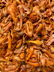 Mace or Javitri Spice.this photo was taken from bangladesh.