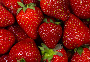 Close-up with fresh strawberries background