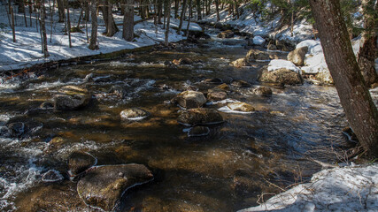 River snow runoff