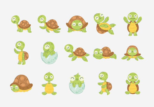 Colorful Cute Cartoon Turtle Animal Illustration Set