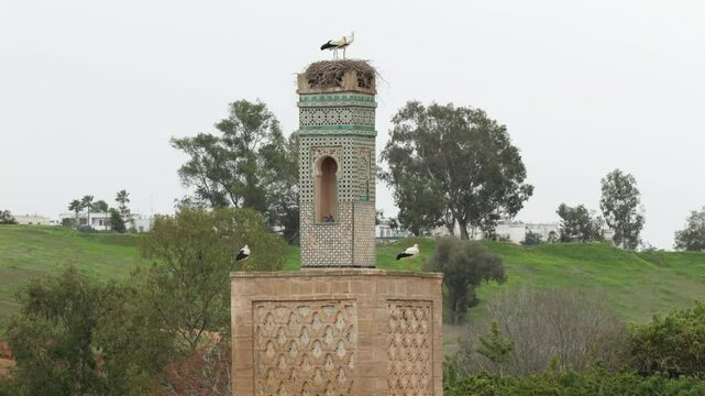 A close up of ancient mosque's tower in the site of Chellah. Ancient archeological site located in Rabat, Morocco. 