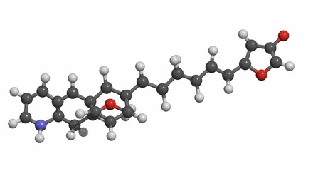 Molecular Structure Model