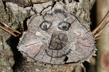 Close-up of a tree trunk on which a branch has been sawn off. A funny face is drawn on the cut surface. It looks as if it is looking out of the tree.