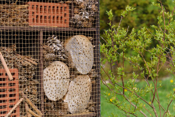 insect hotel outdoors