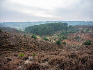 Nature Reserve Area Posbank Near