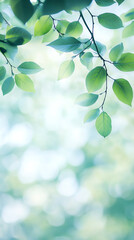 Fresh green leaves on branches gently filtering sunlight and creating a beautiful bokeh effect, perfect for nature and spring themes