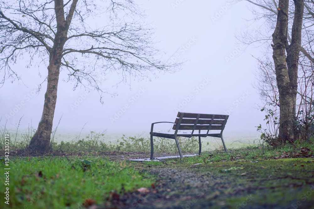 Wall mural metal bench in a park next to a field which is covered with fog and mist. moody calm nature scene.