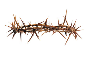 Crown of Thorns, Jesus Christ Symbol, Religious, Spiritual, Easter, Lent, Crucifixion, Holy Week, Biblical, Faith, Belief, Christianity, Divine,