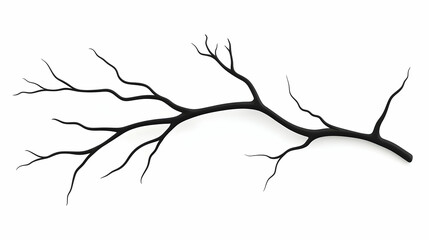 Fototapeta premium Bare tree branch isolated on white background, perfect for design elements