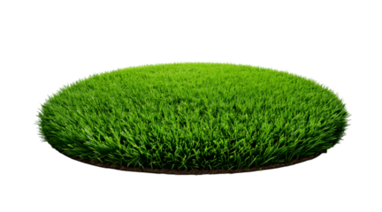 Round tuft of short green grass isolated on a transparent background; PNG