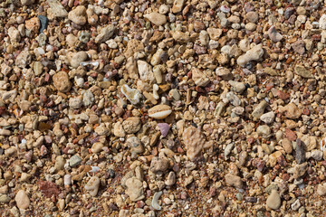 The coastline of the Red Sea. Sand, pebbles, corals, fossils. Background with a marine theme.