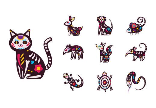 Colorful Mexican Traditional Animals Illustration Set