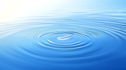 Serene Feather on Still Water: A Tranquil Image