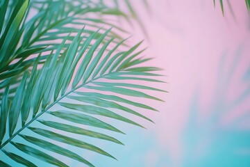 Lush Green Palm Fronds Framing a Gentle Soft Background in Pastel Tones : Generative AI