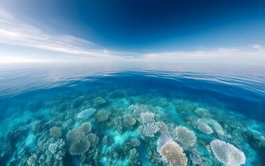Fototapeta premium Stunning Underwater Coral Reef Scene Ocean Panorama