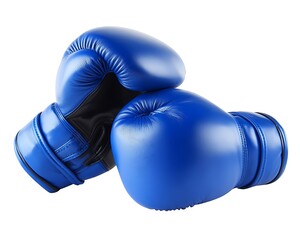 Pair of Blue Boxing Gloves.