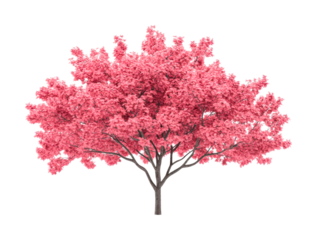 Lush pink tree with full blooming canopy and detailed trunk, cut out