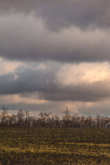 large white thunderclouds with bright rays of sunlight breaking through them, over large empty agricultural fields, during sunset