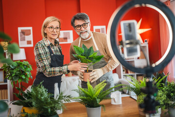 mature couple use cellphone for live streaming and presenting home plants