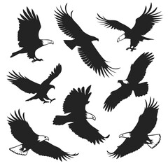 Obraz premium eagle silhouettes set