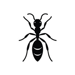 vector illustration of a spider