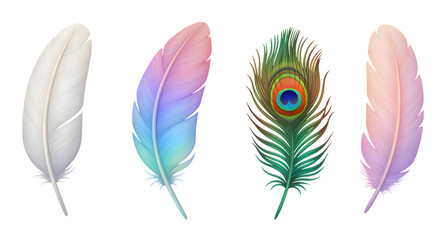 Obraz premium Feathers Colorful Set Isolated on Transparent Background Design Element