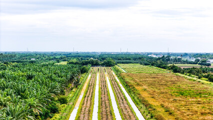 A sustainable energy project featuring solar panels on a roof surrounded by tropical trees,...