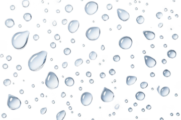 Water drops on black.