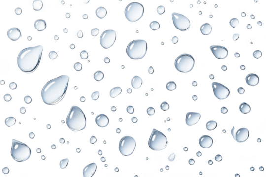 Water drops on black.