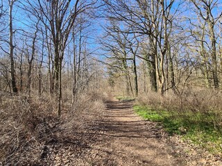 Naturpfad im Pl&auml;nterwald - Berlin Treptow
