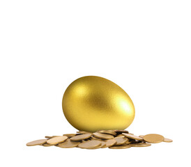 Golden egg surrounded by coins conceptual art studio setting minimalist viewpoint wealth and...
