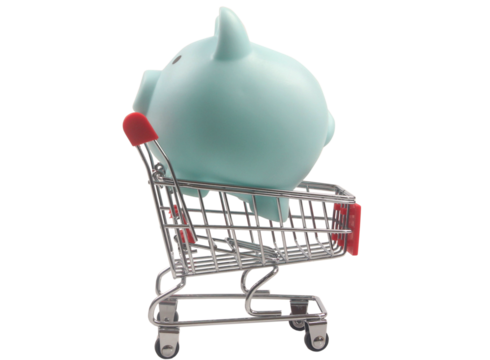 Financial planning event saving money with budgeting techniques home office infographic bright environment side view money management tips