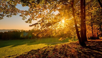 Obraz premium Slow-Motion Leaves Rustling in a Gentle Breeze with Golden Sunlight Glow