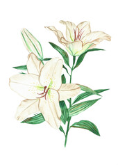 bouquet of lilies