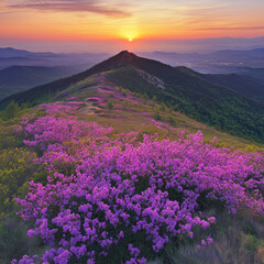 Obraz premium Korea's Mountain With Spring Flowers Blooming