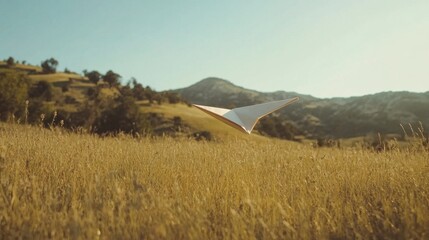 Obraz premium Paper Plane in Golden Field