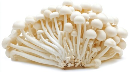 Mushrooms like maitake and enoki are popular in Asian cuisines. How can these varieties be incorporated into a modern fusion restaurant menu?