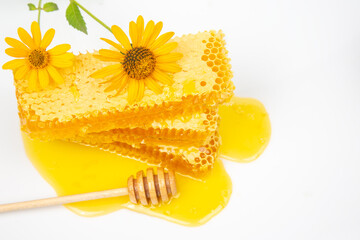 Fresh flower honey in combs and a wooden spoon. vitamin food for health and life