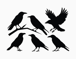Fototapeta premium Bird Crow Silhouette Collection EPS Vector Template