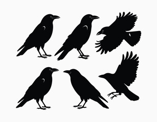 Obraz premium Crow Silhouette Collection EPS Vector Template Illustration