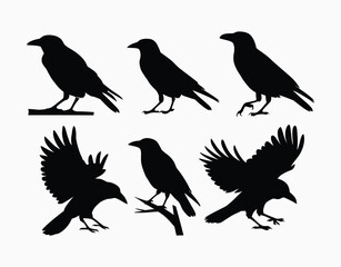 Obraz premium Crow Silhouette Vector EPS Collection on a White Background