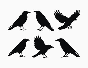 Fototapeta premium Crow Silhouette Vector Template Collection on a White Background