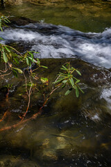 Hemlock Falls, Chattahoochee national forest, Georgia