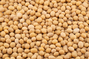 This detailed collage showcases the natural beauty and nutritional richness of soybeans.