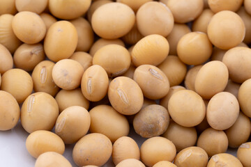 This detailed collage showcases the natural beauty and nutritional richness of soybeans.